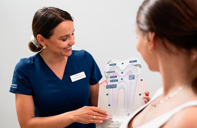 A dentist in blue scrubs discussing dental health with a patient, holding a detailed dental anatomy chart.